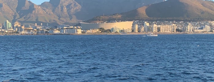 Green Point Lighthouse is one of Cape town.