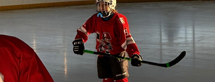 Niles IceLand Skate & Swim is one of Chicago Rat Hockey.