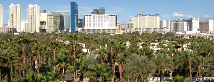 Hard Rock Hotel & Casino VIP Lounge is one of Must-visit Casinos in Las Vegas.