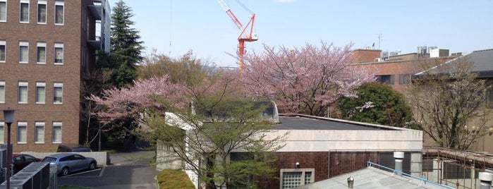 京都工芸繊維大学 京都工芸繊維大学