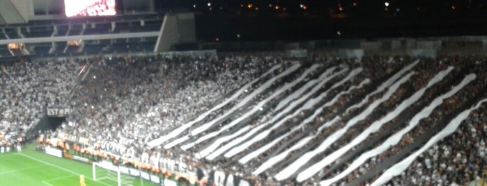 Arena Corinthians is one of สถานที่ที่ Enrique ถูกใจ.