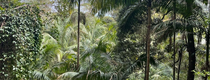Tamborine Rainforest Skywalk is one of Aussie Trip.
