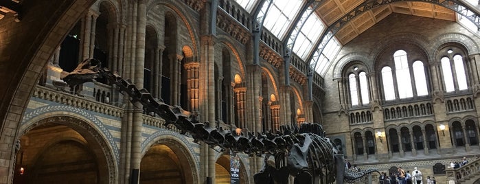 Natural History Museum is one of Nathaliaさんのお気に入りスポット.
