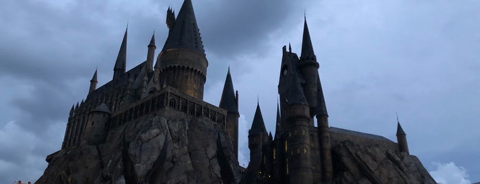 Harry Potter and the Forbidden Journey / Hogwarts Castle is one of Larissa'nın Beğendiği Mekanlar.