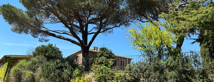 Le Ragnaie is one of Cantine Val d’Orcia.