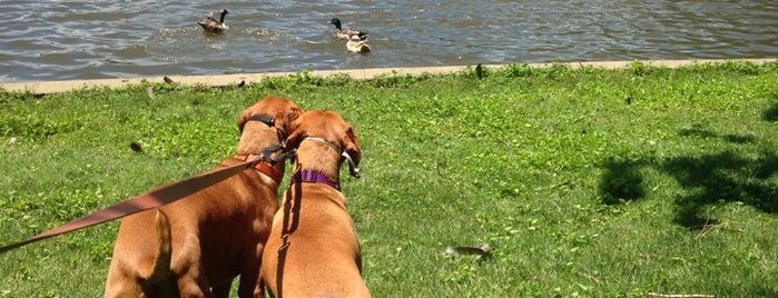 Burrell Park is one of Places To Try.