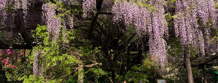 子安地蔵寺 is one of 参拝した寺院.