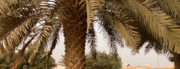 Nahda Park is one of Places in Riyadh (Part 1).