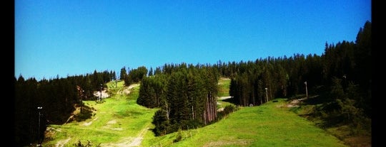 Whitefish Mountain