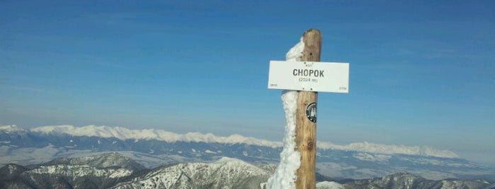 Chopok (2024 m n.m.) is one of Cesta hrdinov SNP.