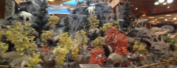 Cabela's is one of Orte, die Terri gefallen.