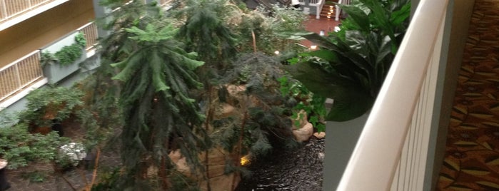 Embassy Suites by Hilton Pittsburgh International Airport is one of Traceyさんのお気に入りスポット.