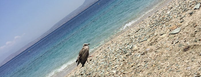 Theseus Beach is one of Future sites.