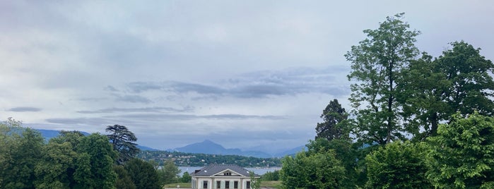 Palais des Nations is one of Zürich.