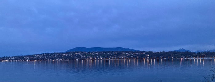 Parc Mon Repos is one of A Genève pour le mariage de LoNo.