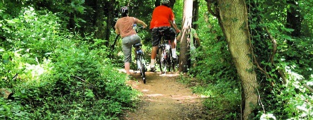 Old Mills Trail is one of Charlottesville.