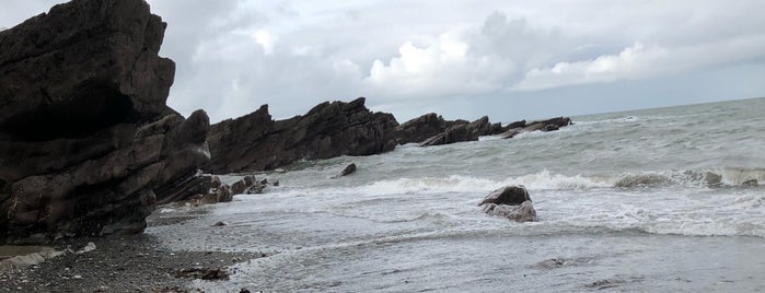 Ilfracombe is one of Areas of Devon.