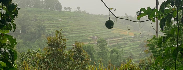 Baturiti Natural Agro Product is one of Bali Indonésie 🇮🇩.