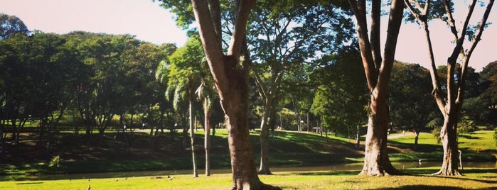 Parque São Lourenço is one of Curitiba + Morretes.