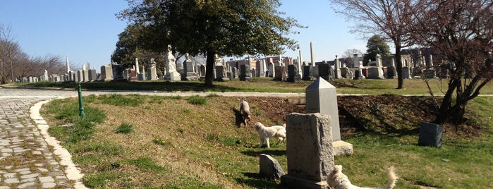 Historic Congressional Cemetery is one of DC Favorites.
