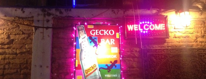 Gecko Bar is one of Lieux qui ont plu à Amaury.