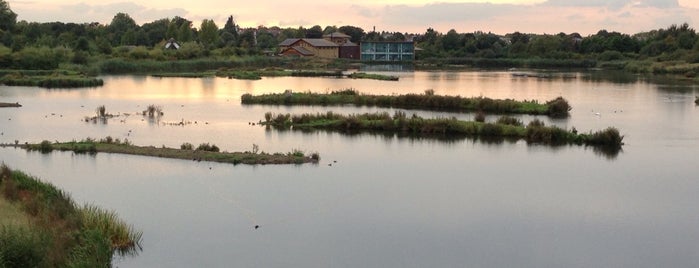 London Wetland Centre is one of 2 for 1 offers (train).