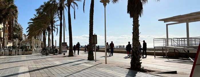 Paseo Marítimo de Almería is one of All-time favorites in Spain.