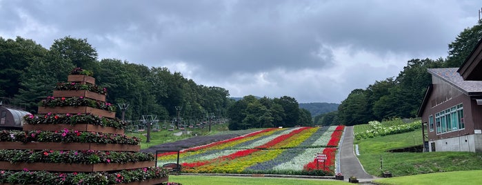 たんばらスキーパーク is one of 公園・庭園巡り.