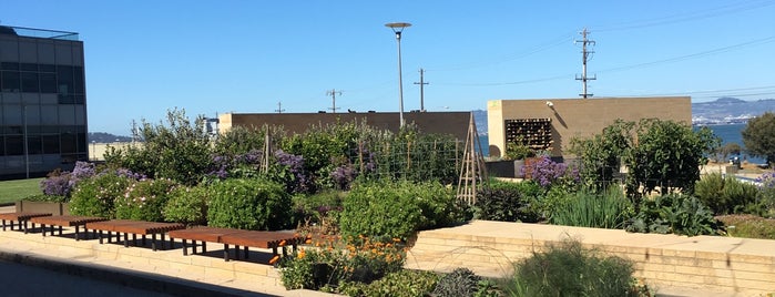 STEM Kitchen & Garden is one of EAT–BAY | SF-OuterWest.
