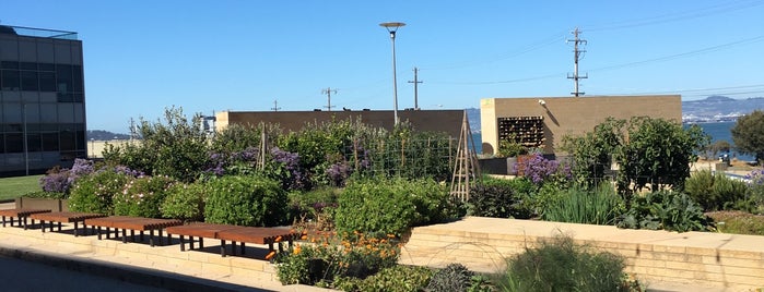 STEM Kitchen & Garden is one of San Francisco.