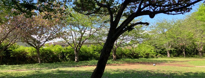 蘆花記念公園 is one of 鎌倉逗子葉山.