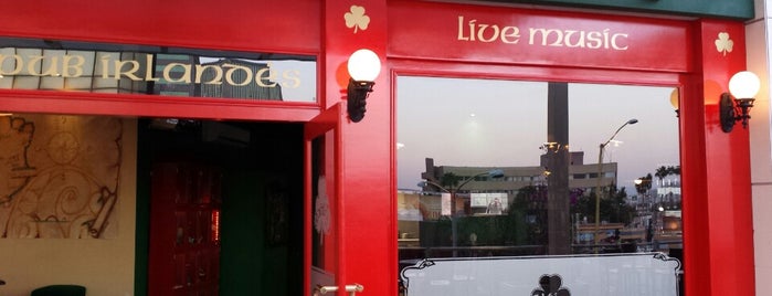 Celtics Pub Irlandés is one of Lugares.
