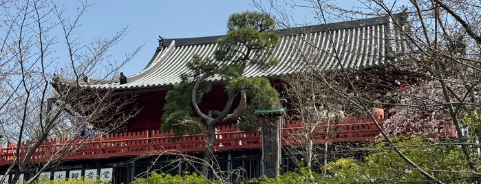 月の松 is one of The 15 Best Historic and Protected Sites in Tokyo.