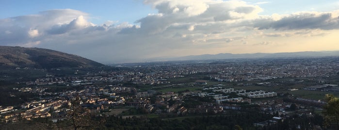 Parco Di Galceti is one of Lugares guardados de Marco.