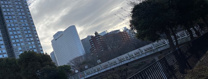 公園小橋 is one of 東京陸橋.