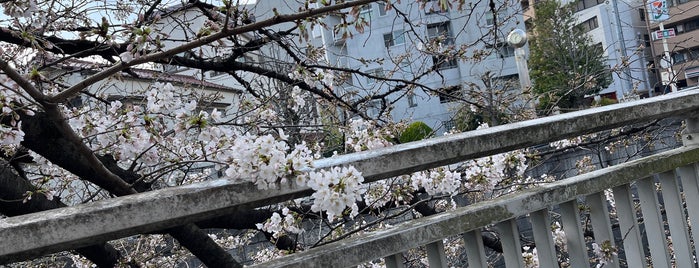 神田川遊歩道 is one of Find My Tokyo.