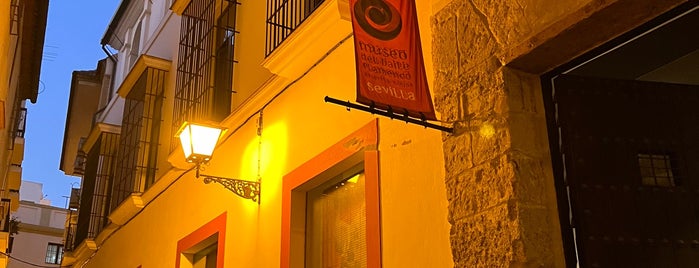 Museo del Baile Flamenco is one of Seville.