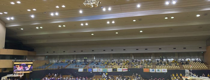 アリーナ 体育館 アリーナ 体育館