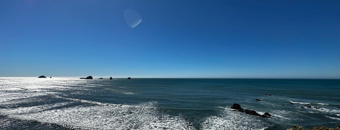 port orford overlook . whale watcher spot is one of PNW + no cal.