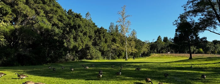Vasona Lake County Park is one of California time of the Year!.