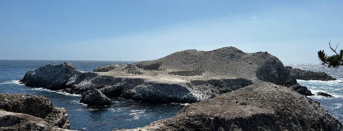 Bird Island Trail is one of Posti che sono piaciuti a Tammy.