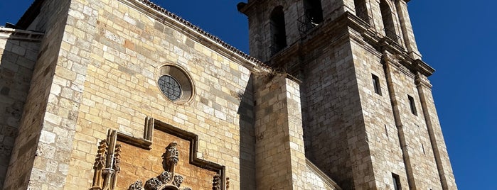Catedral Magistral de los Santos Niños Justo y Pastor is one of alcalá de henares.