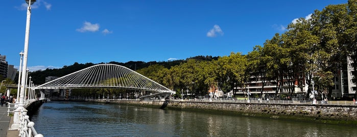 Paseo de Uribitarte is one of Ideiak eta emozioak made in Euskadi.