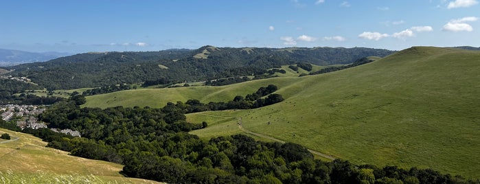 Dublin Hills Regional Park is one of Red Tri's 101 Fun TO DO's with kids in SF Bay Area.