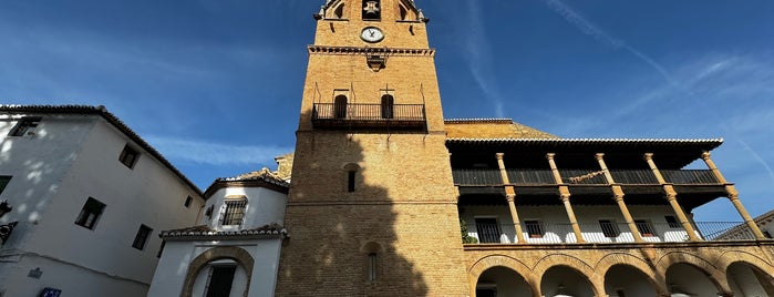 Iglesia Santa Maria la Mayor is one of Spain.