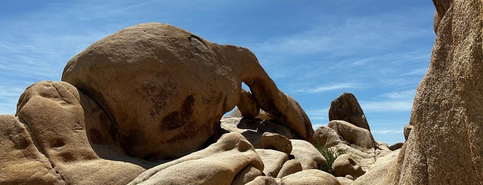 Arch Rock is one of Joshua Tree.