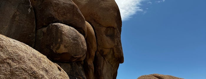 Face Rock is one of Joshua tree.