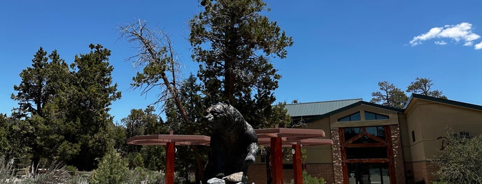 Big Bear Discovery Center is one of Tempat yang Disukai Misty.