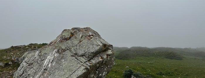 Tomales Point is one of **Point Reyes.