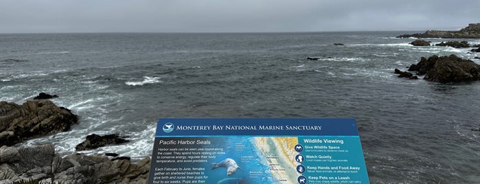 Monterey Bay National Marine Sanctuary is one of Highway 1 - California.